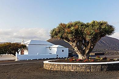 恐怖射击游戏《量子误差》续作《量子态》公布 发售日期待定