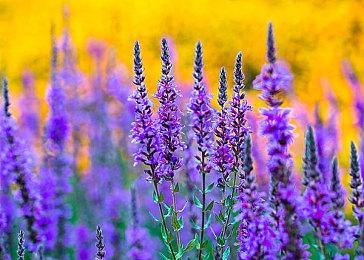 《战地6》公测正式开启 在线人数近20万